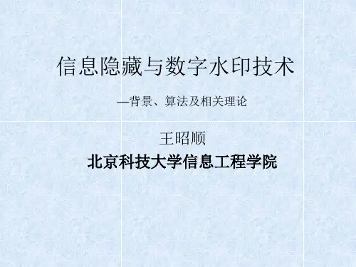 信息隐藏与数字水印技术.pptx