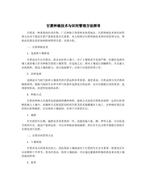 甘蔗种植技术与田间管理方法探寻