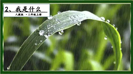 【人教部编版小学语文】我是什么教学课件1