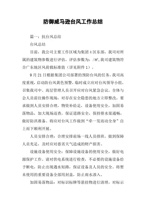 防御威马逊台风工作总结