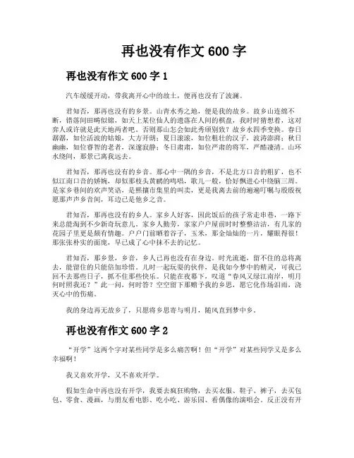 再也没有作文600字