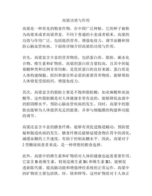 高梁功效与作用