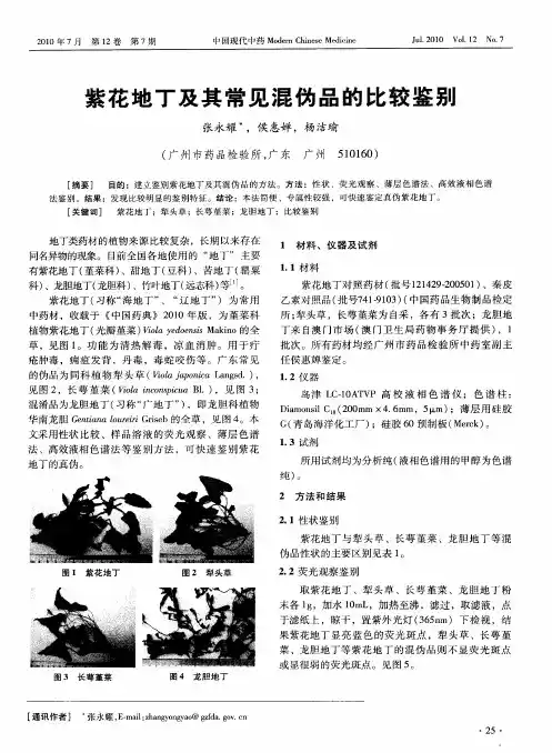 紫花地丁及其常见混伪品的比较鉴别