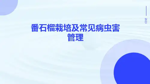 番石榴栽培及常见病虫害管理