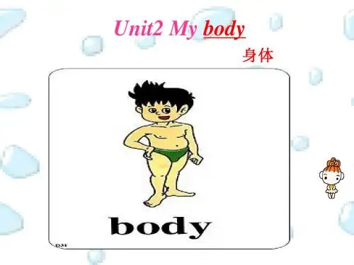 新起点三年级上册第二单元.my body