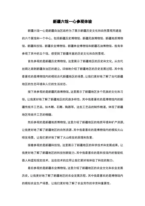 新疆六馆一心参观体验