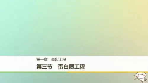 高中生物第一章基因工程1.3蛋白质工程课件苏教版选修3