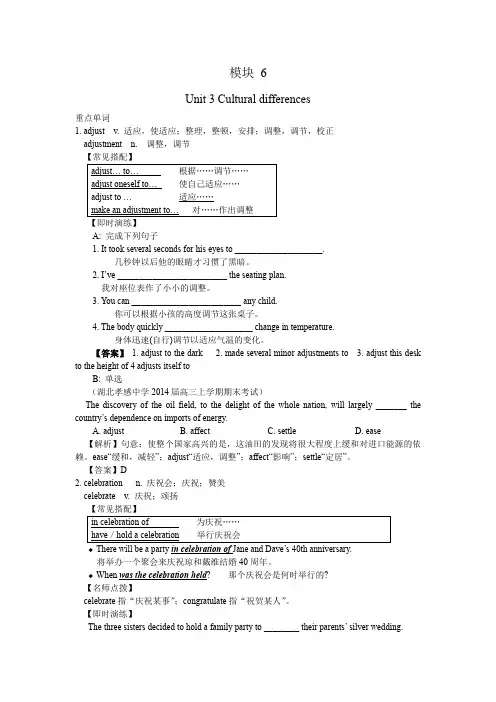 译林牛津高二英语模块六Unit 3 Cultural differences  全单元知识点详案