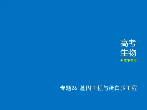 高考二轮复习基因工程与蛋白质工程课件(28张)