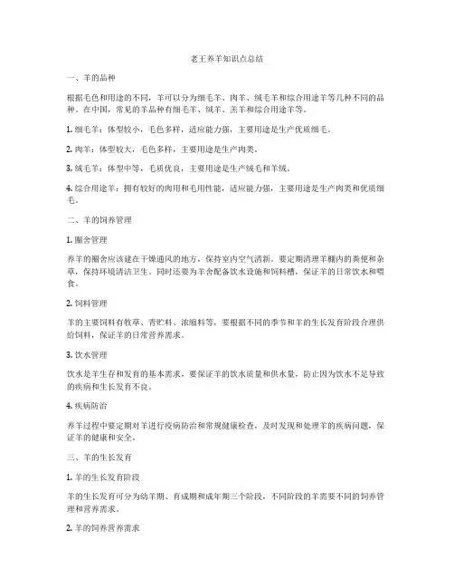 老王养羊知识点总结