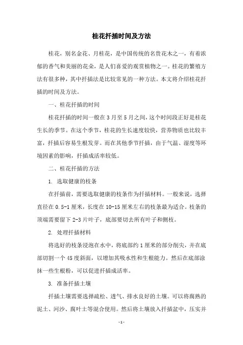 桂花扦插时间及方法