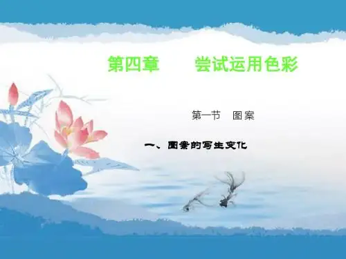 色彩基础第一节 1图案写生变化