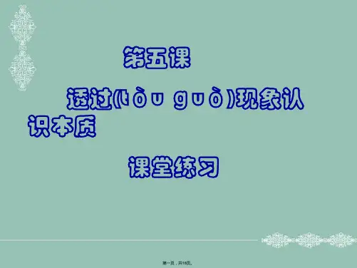 政治第五课透过现象认识本质课件
