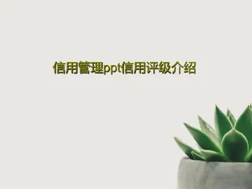 信用管理ppt信用评级介绍共23页文档