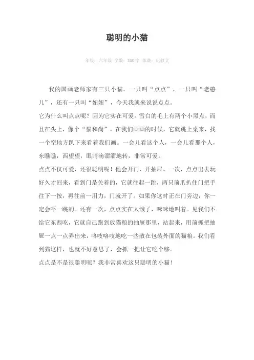 聪明的小猫350字作文