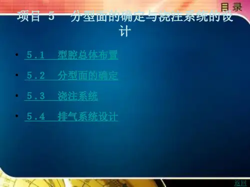 分型面的确定与浇注系统的设计