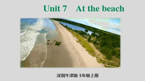 牛津上海版(三起)英语五年级上册Module 3  Unit 7 At the Beach  课件