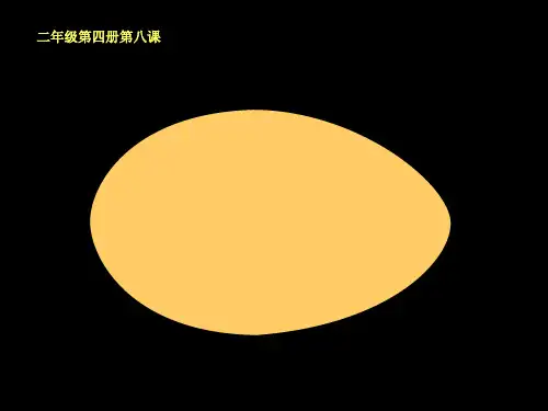《出壳了》小学一年级下册美术PPT课件