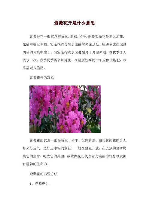 紫薇花开是什么意思