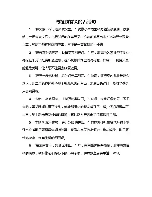 与植物有关的古诗句