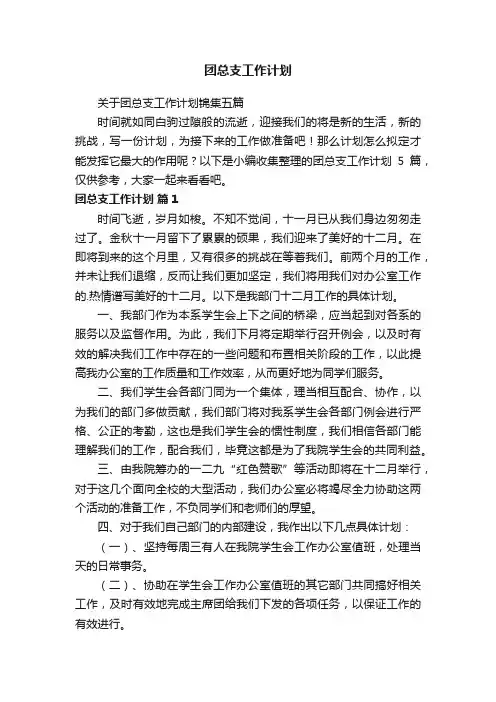 团总支工作计划