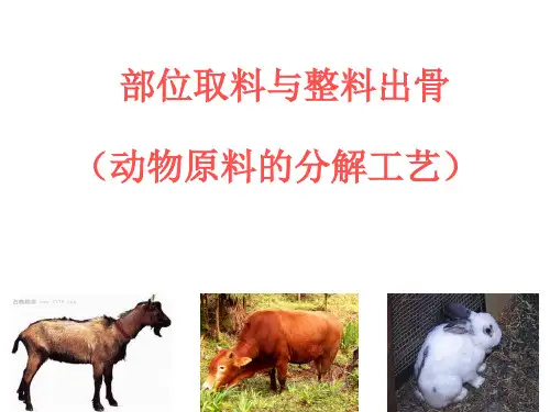 第六讲部位取料与整料出骨