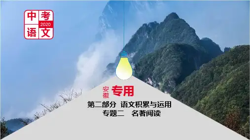 2020版中考语文名著阅读(安徽专用)5.《红岩》