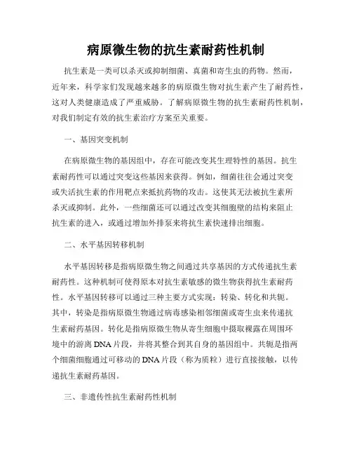 病原微生物的抗生素耐药性机制