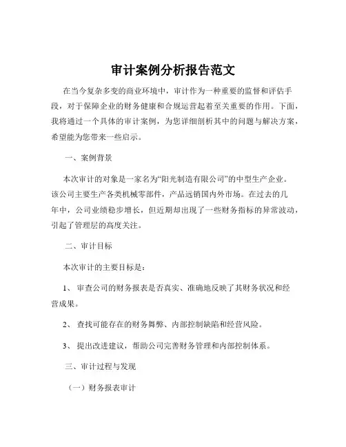 审计案例分析报告范文