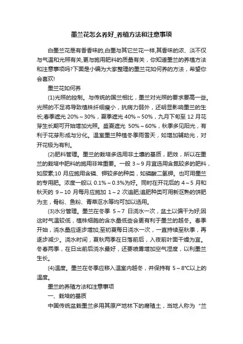墨兰花怎么养好_养植方法和注意事项