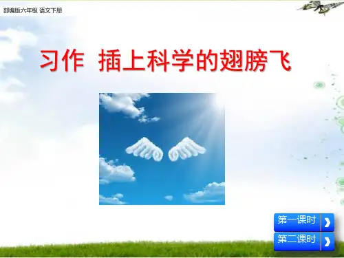 部编版六年级语文下册习作：插上科学的翅膀飞课件PPT(2套获奖课件)