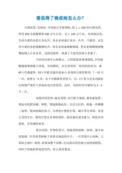 番茄得了晚疫病怎么办？