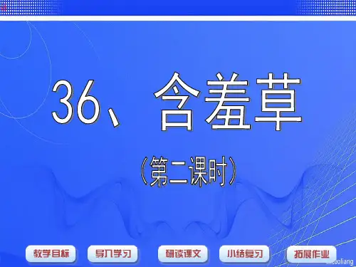 沪教版二年级语文下册课件-含羞草课件