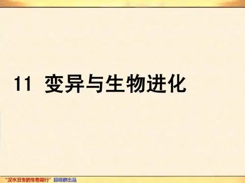 2013高考全国生物试题分专题汇编PPT版11 变异与生物进化