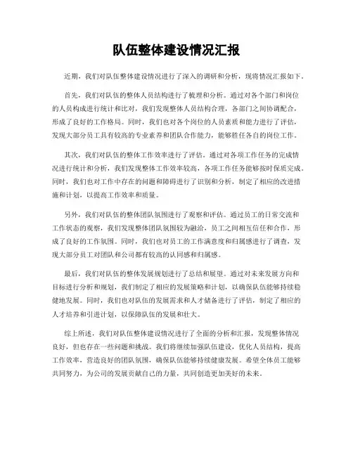 队伍整体建设情况汇报