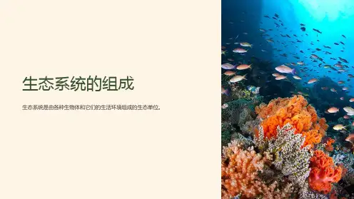 《生态系统的组成》课件