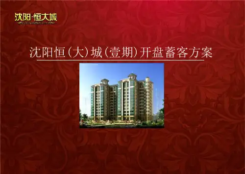 恒大城房地产项目一期开盘蓄客方安策划方案