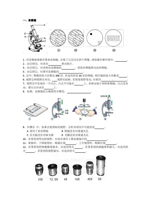 七年级生物期中考试知识总结