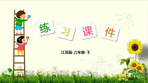 六年级数学下册习题课件- 圆柱和圆锥2 圆柱的表面积-苏教版(共17张PPT)