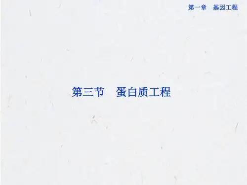 高中生物同步课件13蛋白质工程苏教版选修3