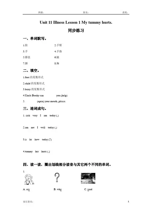 北师大(三起)四年级英语下册unit 11 illness lesson 1 my tummy hurts课后练习题