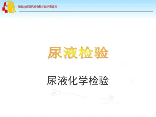 尿液检验--尿液化学检验