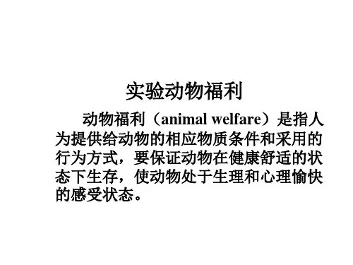 动物福利-实验动物的行为、应激和疼痛