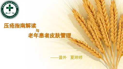 医学-压力性损伤的护理ppt课件