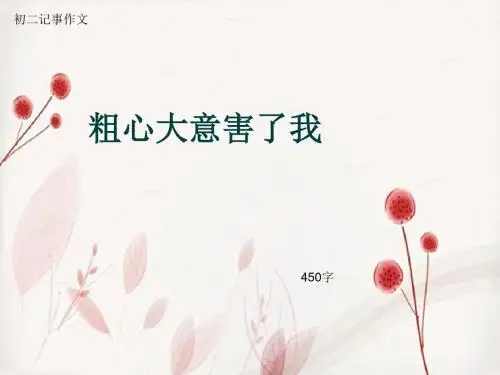 初二记事作文《粗心大意害了我》450字(总9页PPT)