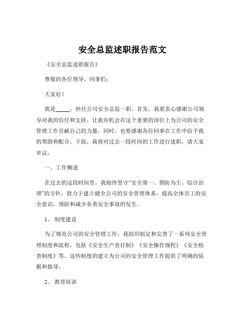安全总监述职报告范文
