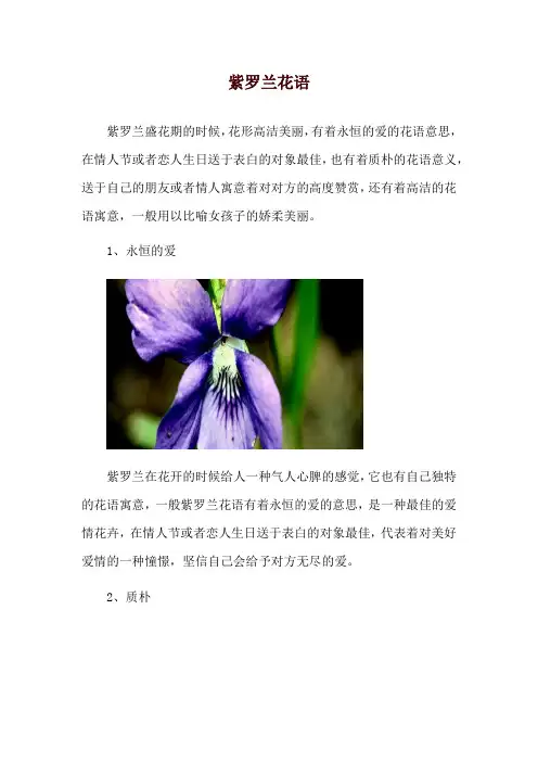 紫罗兰花语_1