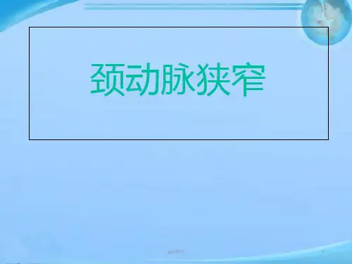 颈动脉狭窄健康教育  ppt课件