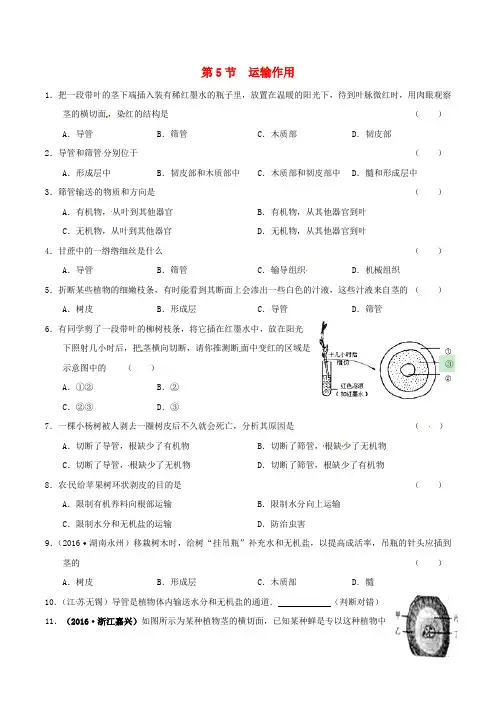 七年级生物上册3.5.5运输作用同步练习北师大版