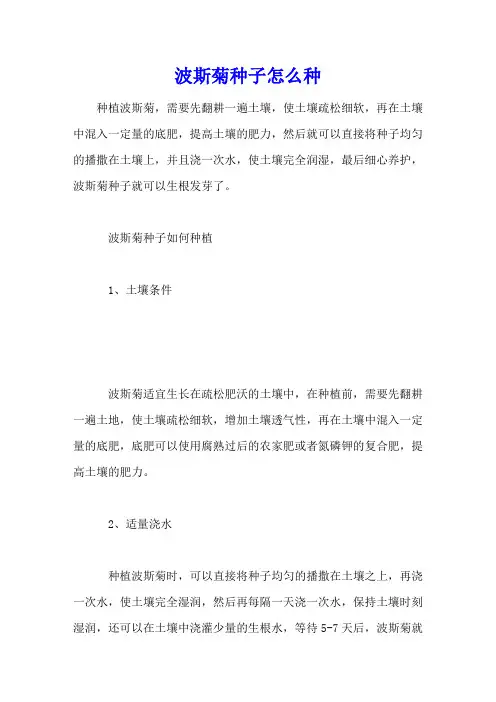 波斯菊种子怎么种